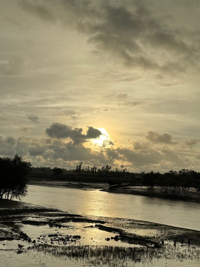 IMG_5782.jpeg