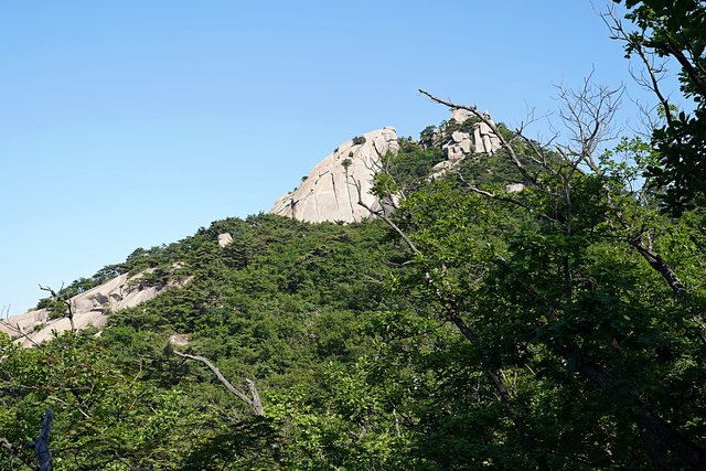 b-DSC04408.JPG
