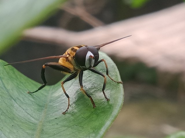 IMG20250925100640.jpg