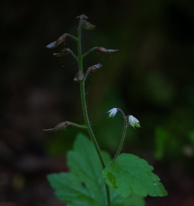IMG_20250808_213141.jpg