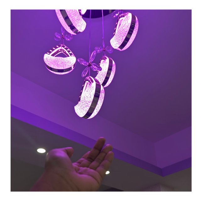 1000051162.jpg