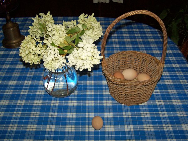 24.1st pullet egg, last layer eggs crop Sept. 2016.jpg