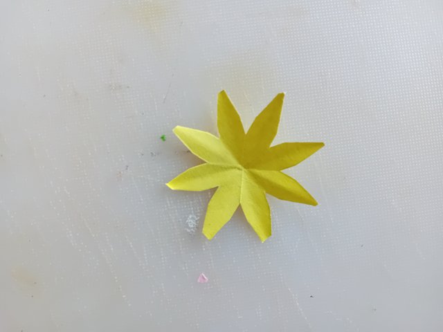 1000039066.jpg