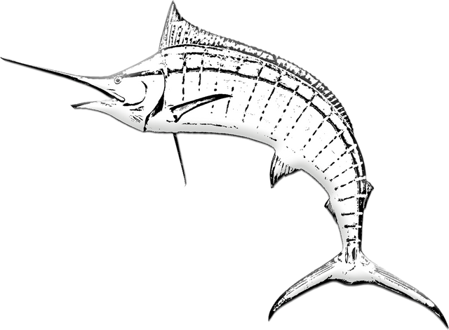 marlin-fish-g7dd5f5526_1920.png