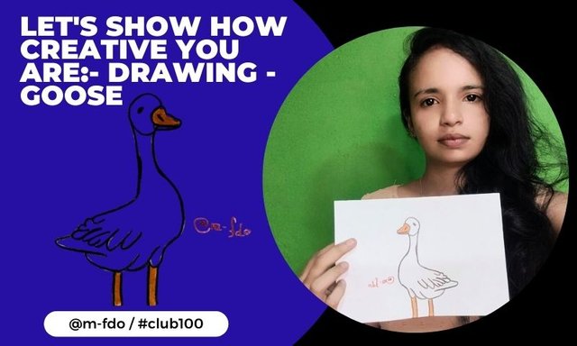 Let's show how creative you are- Drawing - Goose.jpg