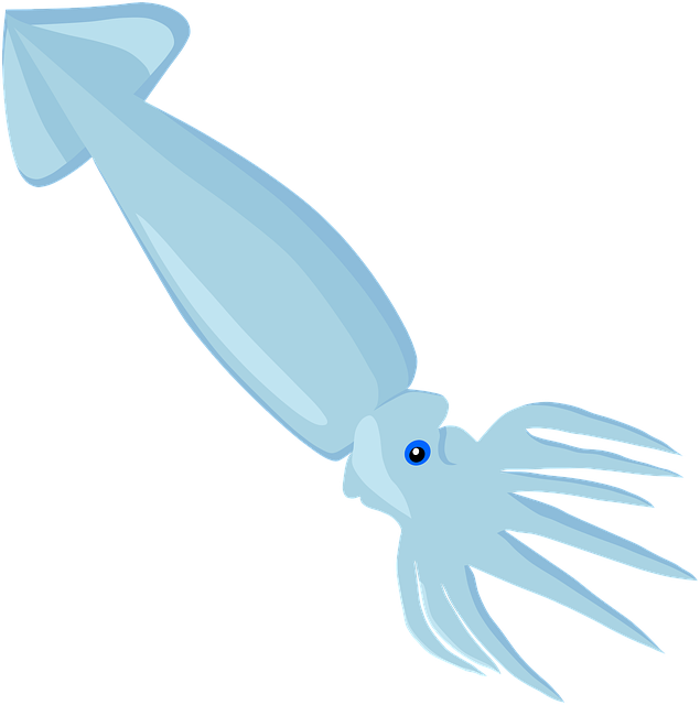 squid-g017f02c4e_640.png