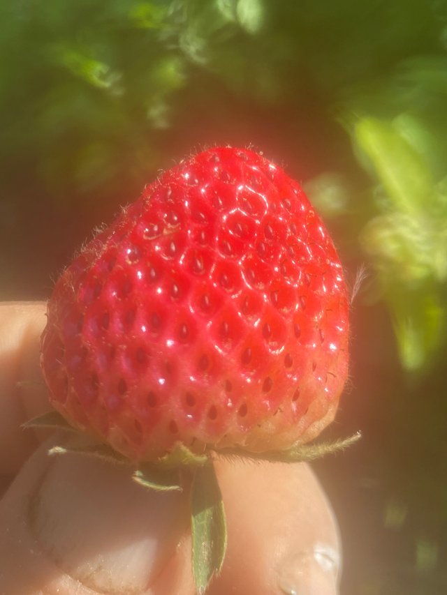 IMG7899.JPG