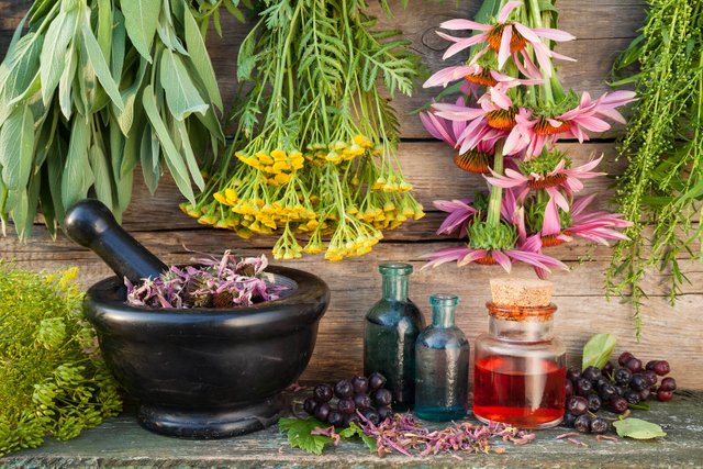 Bunches-Of-Healing-Herbs.jpg
