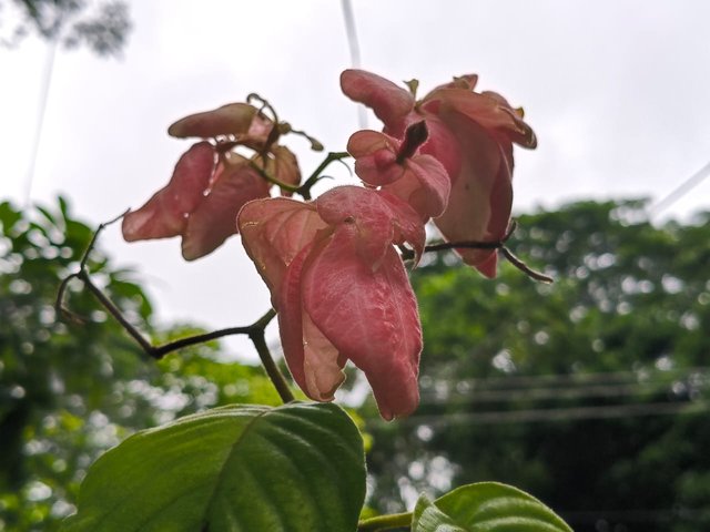 1000188454.jpg