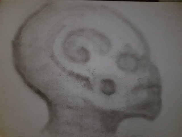 20250627_101205.jpg