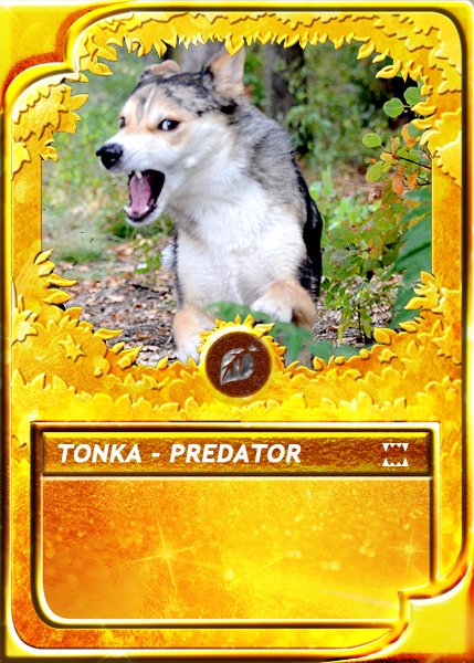 tonka-predator.jpg