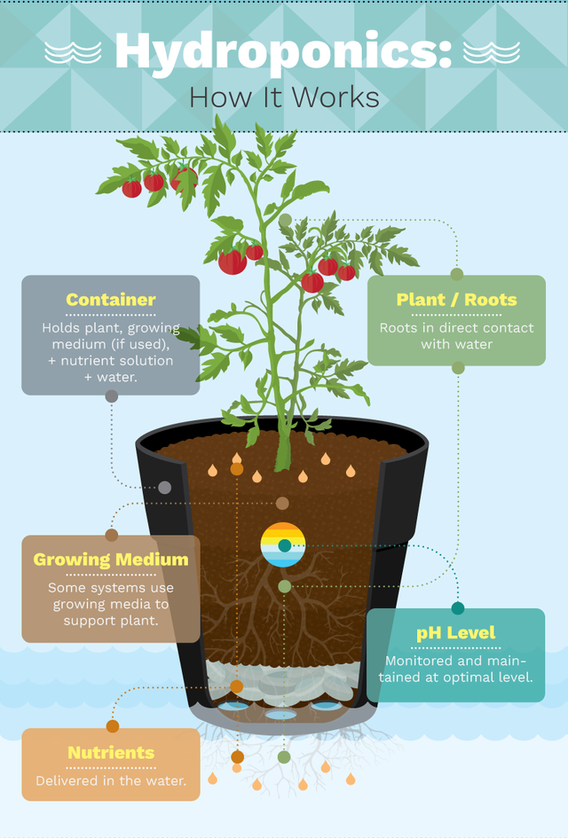 different-hydroponic-gardening-systems-1.png