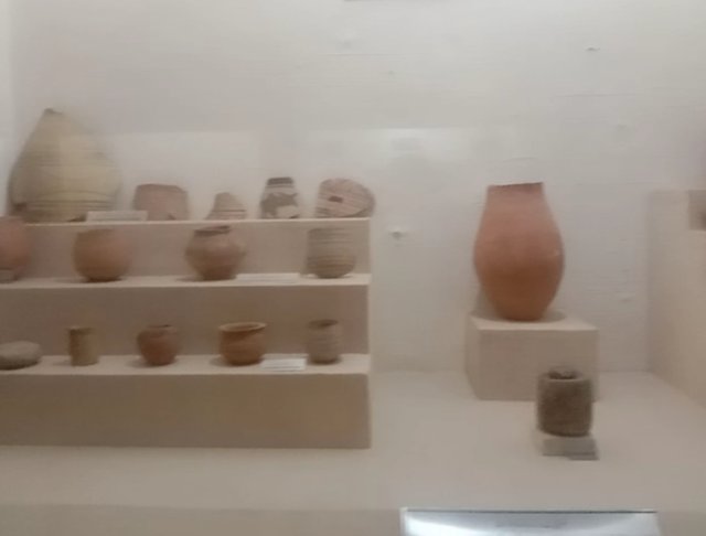 1000030917.jpg