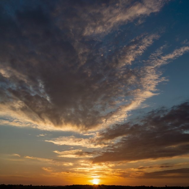 
![](https://cdn.steemitimages.com/DQmRwr9gS2YBnPk4xoesQ15769Nh31ELuKBMDbVmUpLAMRb/Leonardo_Anime_XL_The_a_bird_flying_in_the_sky_and_looks_at_th_0.jpg)
