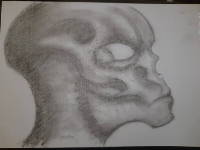 20250622_091958.jpg