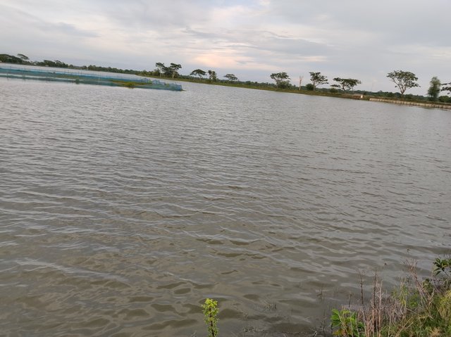 IMG_20250615_175010.jpg