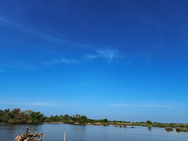 IMG_20250314_093201.jpg