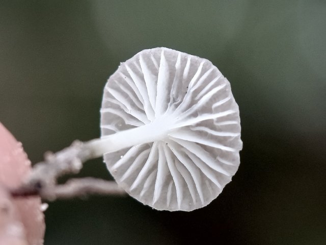 img_20250915_wa0050.jpg