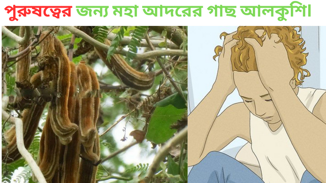 যৌন সমস্যা সমাধান আলকুশি.png