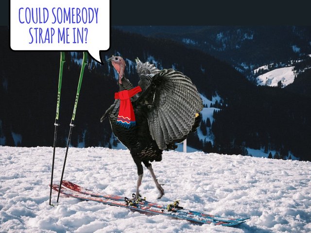 turkey_wild_child.jpg