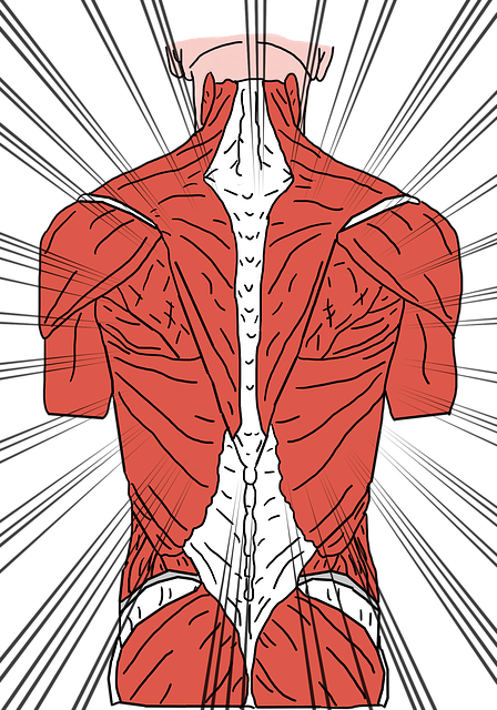 back-pain-3769360_640 (1).png