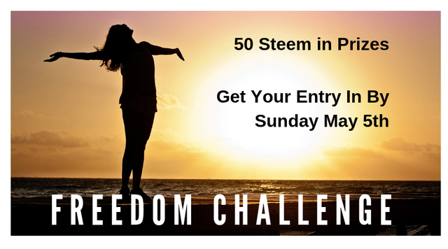 FREEDOMfilm CHALLENGE (2).png