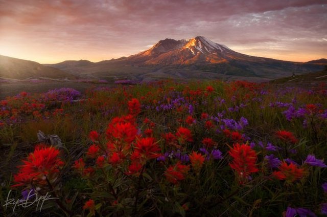 st-helens-Photo-by-Ryan-Dyar.jpg