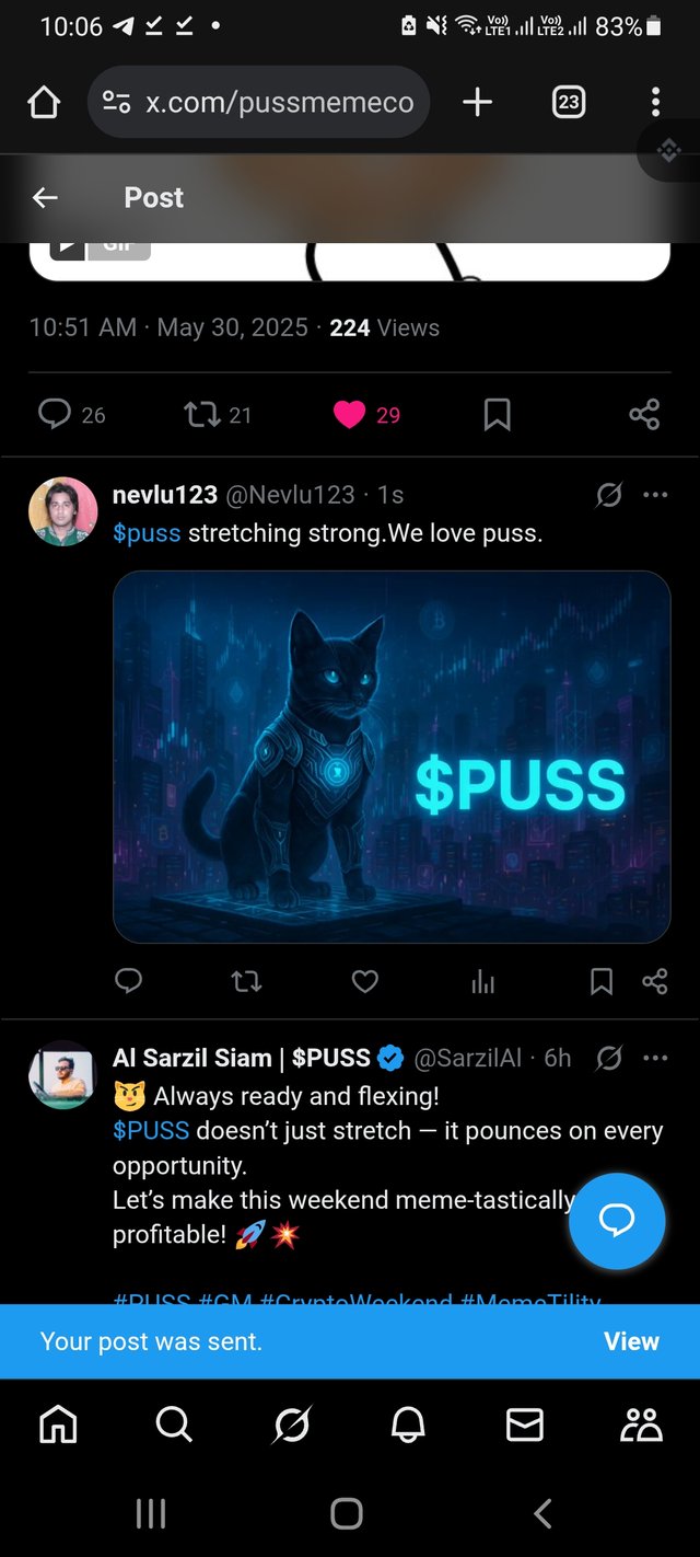 Screenshot_20250530-220620_Chrome.jpg
