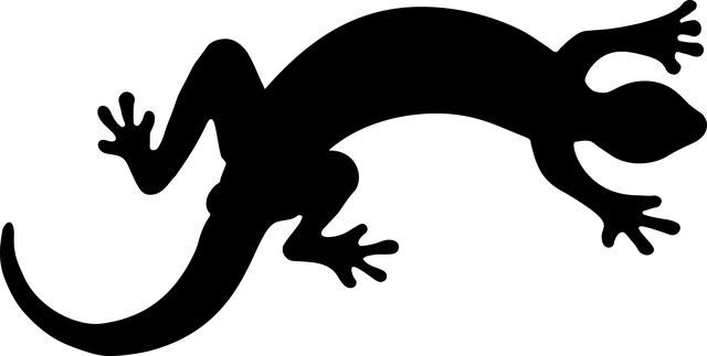 o1AJ9qDyyJNSpZWhUgGYc3MngFqoAMfX9PespKFWsPbvzaSxN (1).png
