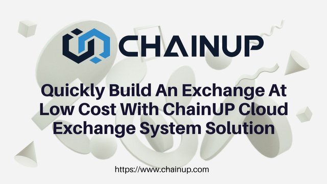 LOW COST CHAINUP (1).jpg