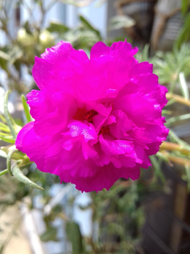 20190510_111626.jpg
