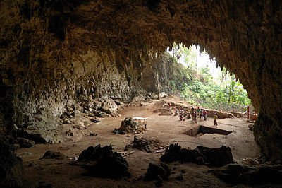 400px-Homo_floresiensis_cave (1).jpg