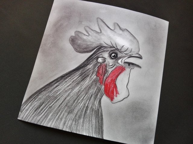 rooster(249).jpg