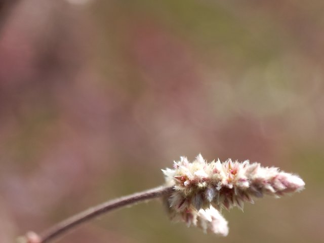 20221105_121547.jpg