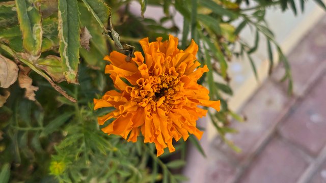 20250330_063813.jpg