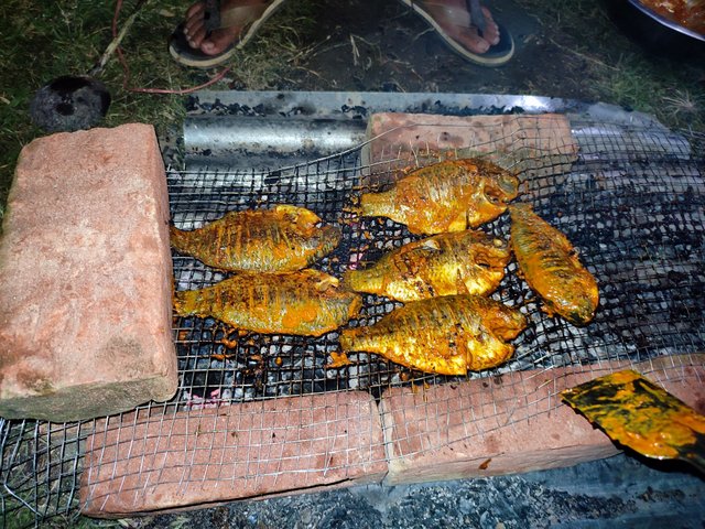 IMG_20220909_233535.jpg