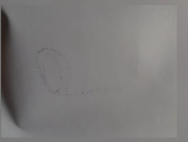 1000138925.jpg