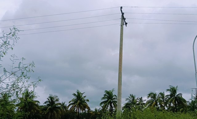 IMG_20250922_095016.jpg