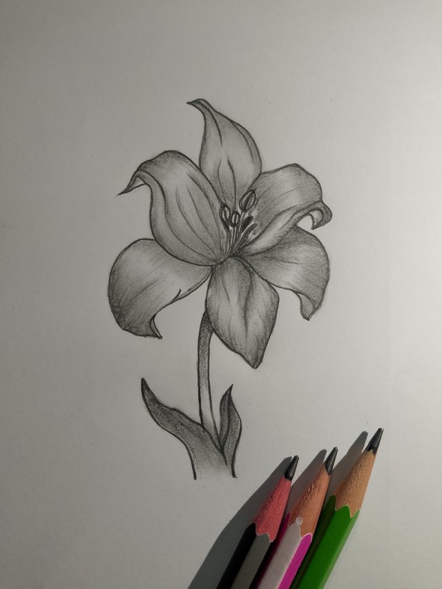 1000054339.jpg