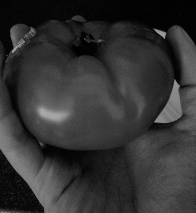 Food Photography, B&W Palm Tomato, April 24 2017.jpg