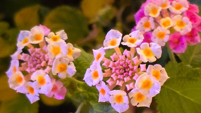 20250403_212049.jpg