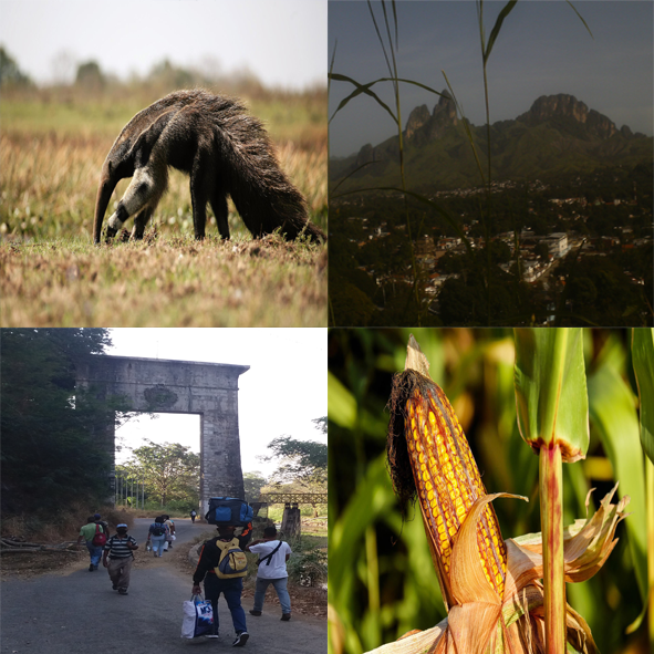 05 zona llanera.png