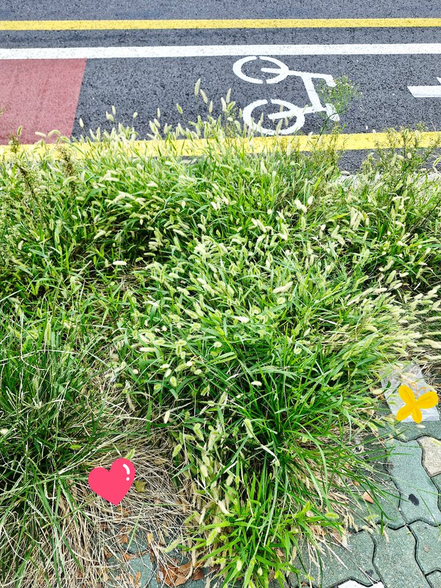 20250916_080802.jpg