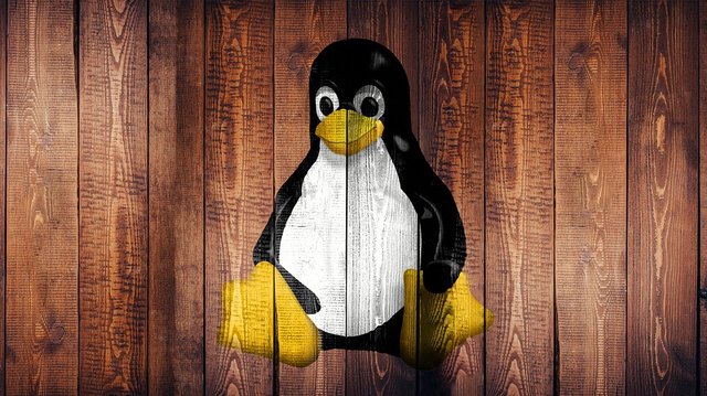 Penguin-Wallpaper-Screen-Linux-Laptop-Wood-1962898.jpg