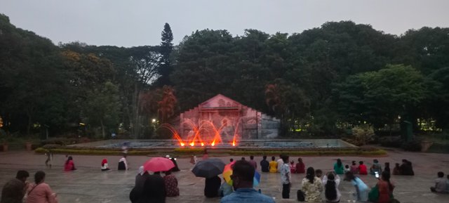 p5.jpg