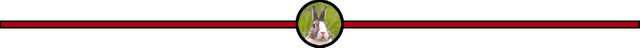 steemit-ketcom-rabbit-slim-seperator.fw.png