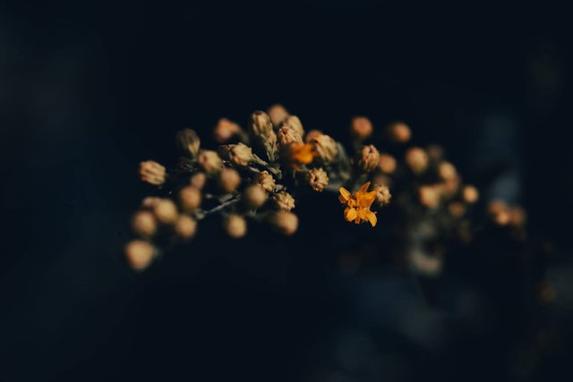 2E909C0E-3979-40A6-AC97-A7317C3106C3.jpeg