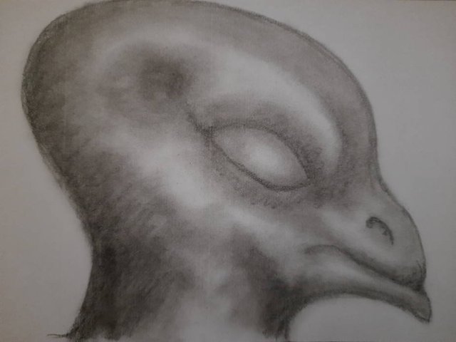 20250612_104542.jpg