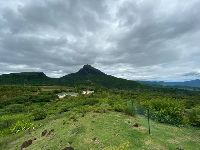 3 weeks in Mauritius. Part 2: Black River Gorges Park