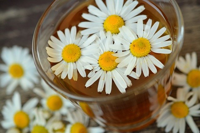 chamomile-g3d7434b08_640.jpg